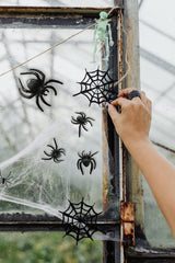 Realistic Plastic Spider Toy Halloween Prank Props Small Size Funny Halloween Decorations 30pcs