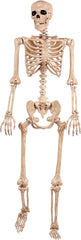 Crazy Skeleton Halloween Decoration Skeleton Realistic Human Skeleton