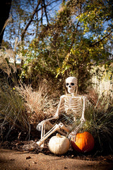 Crazy Skeleton Halloween Decoration Skeleton Realistic Human Skeleton