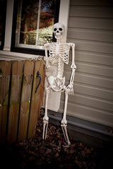 Crazy Skeleton Halloween Decoration Skeleton Realistic Human Skeleton