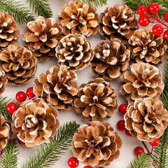 24 PCS Christmas Natural Pine Cones for Crafts, Natural Hanging Pine Cones Bulk Rustic Pine Cones for Xmas Thanksgiving Fall Wedding Party Craft Decorations