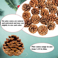 24 PCS Christmas Natural Pine Cones for Crafts, Natural Hanging Pine Cones Bulk Rustic Pine Cones for Xmas Thanksgiving Fall Wedding Party Craft Decorations