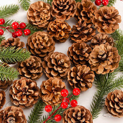 24 PCS Christmas Natural Pine Cones for Crafts, Natural Hanging Pine Cones Bulk Rustic Pine Cones for Xmas Thanksgiving Fall Wedding Party Craft Decorations