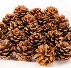 24 PCS Christmas Natural Pine Cones for Crafts, Natural Hanging Pine Cones Bulk Rustic Pine Cones for Xmas Thanksgiving Fall Wedding Party Craft Decorations