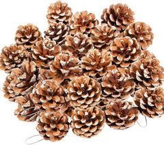 24 PCS Christmas Natural Pine Cones for Crafts, Natural Hanging Pine Cones Bulk Rustic Pine Cones for Xmas Thanksgiving Fall Wedding Party Craft Decorations