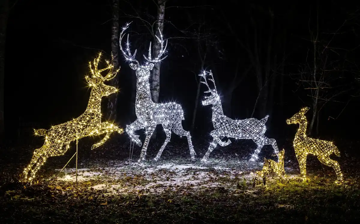 Outdoor Christmas lights with illuminated reindeer decorations