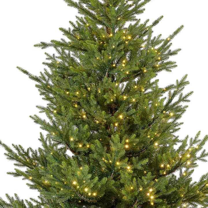7.4 ft Norway Spruce Christmas tree with 1000 warm white micro LED lights