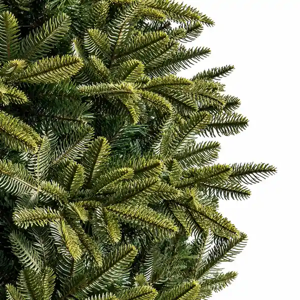 Astoria Slim Douglas Fir Christmas Tree for space-conscious holiday decorating Astoria Slim Douglas Fir Christmas Tree for space-conscious holiday decorating