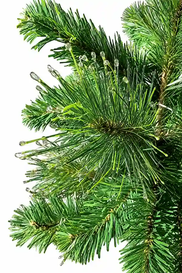 Artificial Christmas tree standing 5 feet tall with Alaskan-inspired evergreen styling and decorative water droplet accents.